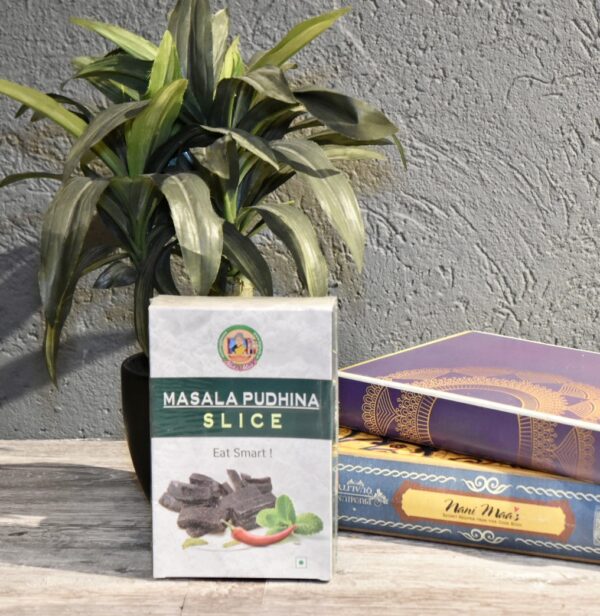 Masala Pudina Slice